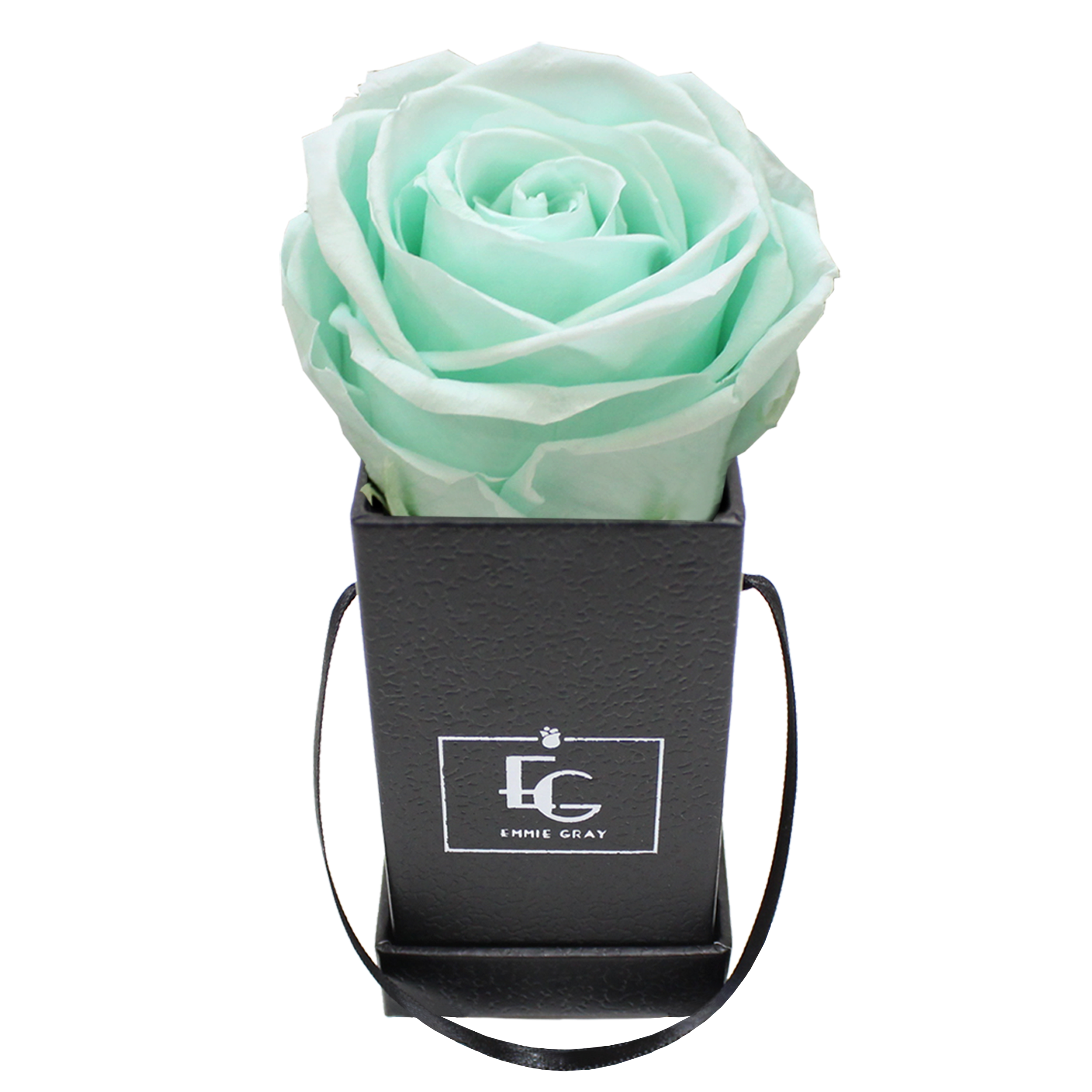 CLASSIC INFINITY ROSEBOX | MINTY GREEN | XXS CLASSIC INFINITY ROSEBOX | MINTY GREEN | XXS