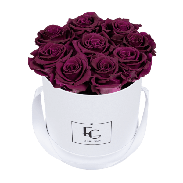 CLASSIC INFINITY ROSEBOX | VELVET PLUM | S