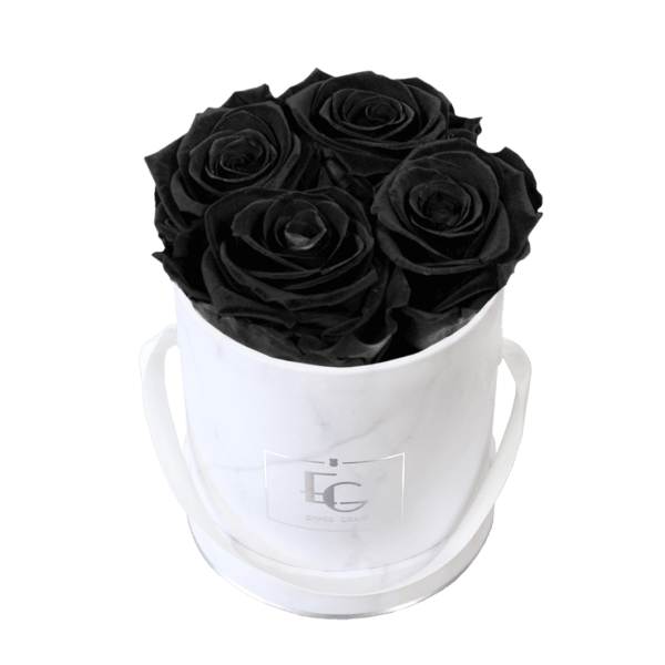 CLASSIC INFINITY ROSEBOX | BLACK BEAUTY | XS