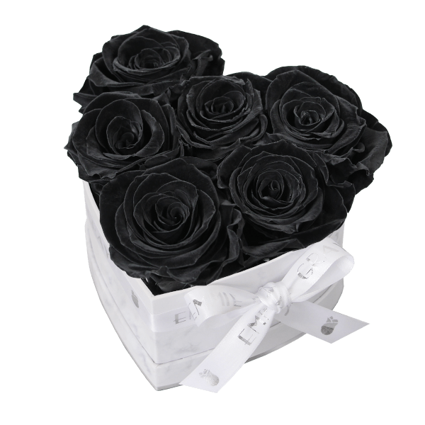 Classic Infinity Rosebox | Black Beauty | S