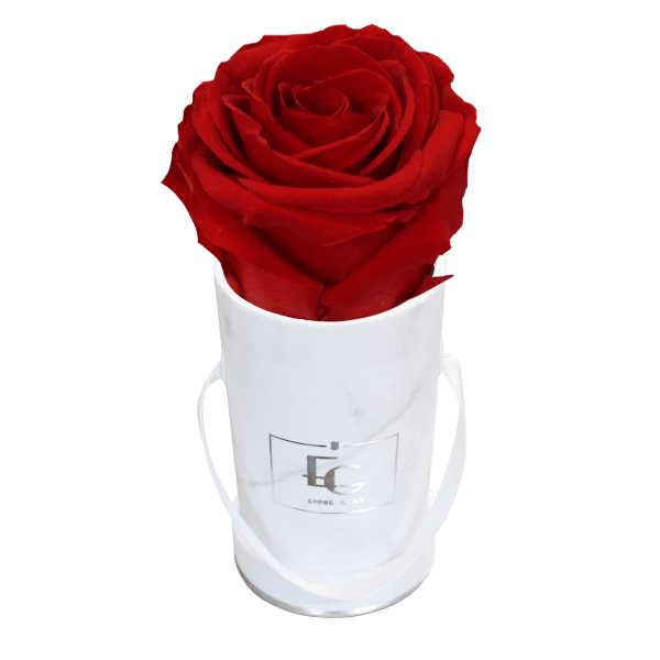 Classic Infinity Rosebox | Vibrant Red | XXS