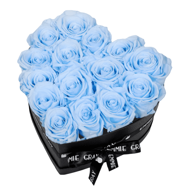 CLASSIC INFINITY ROSEBOX | BABY BLUE | M