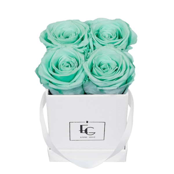 CLASSIC INFINITY ROSEBOX | MINTY GREEN | XS