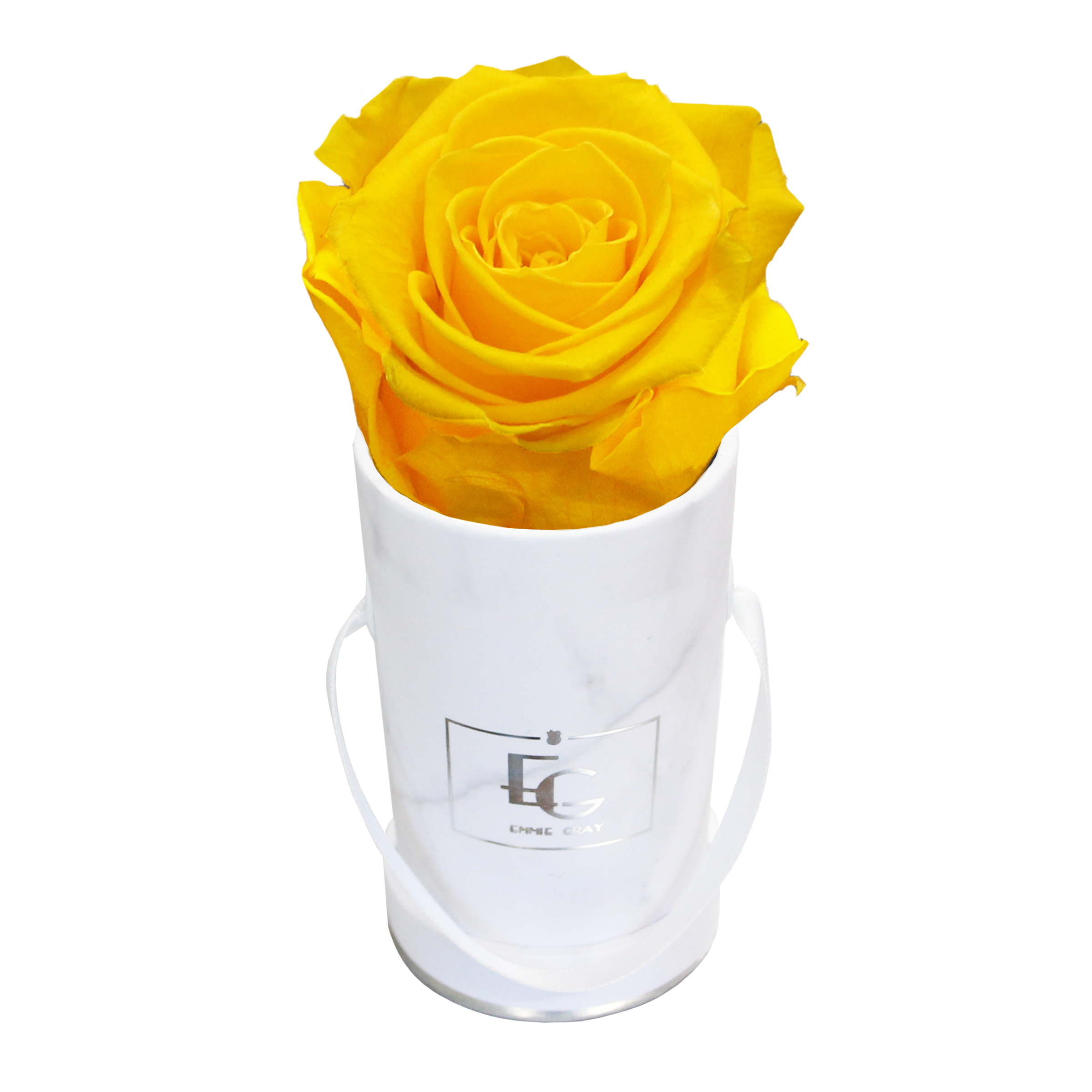 CLASSIC INFINITY ROSEBOX | SUNNY YELLOW | XXS