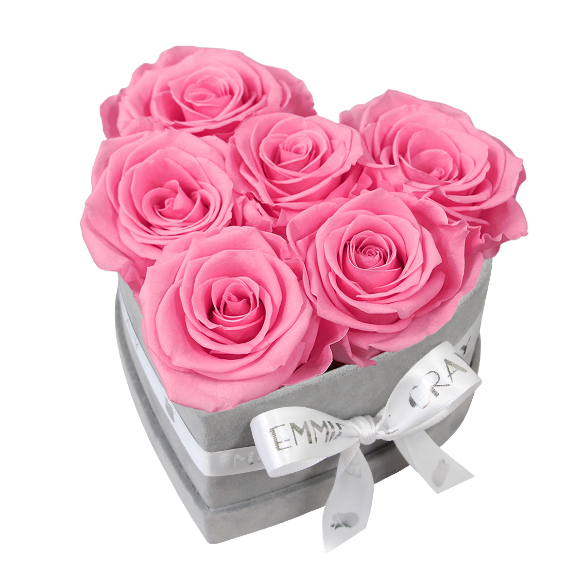 Classic Infinity Rosebox | Baby Pink | S