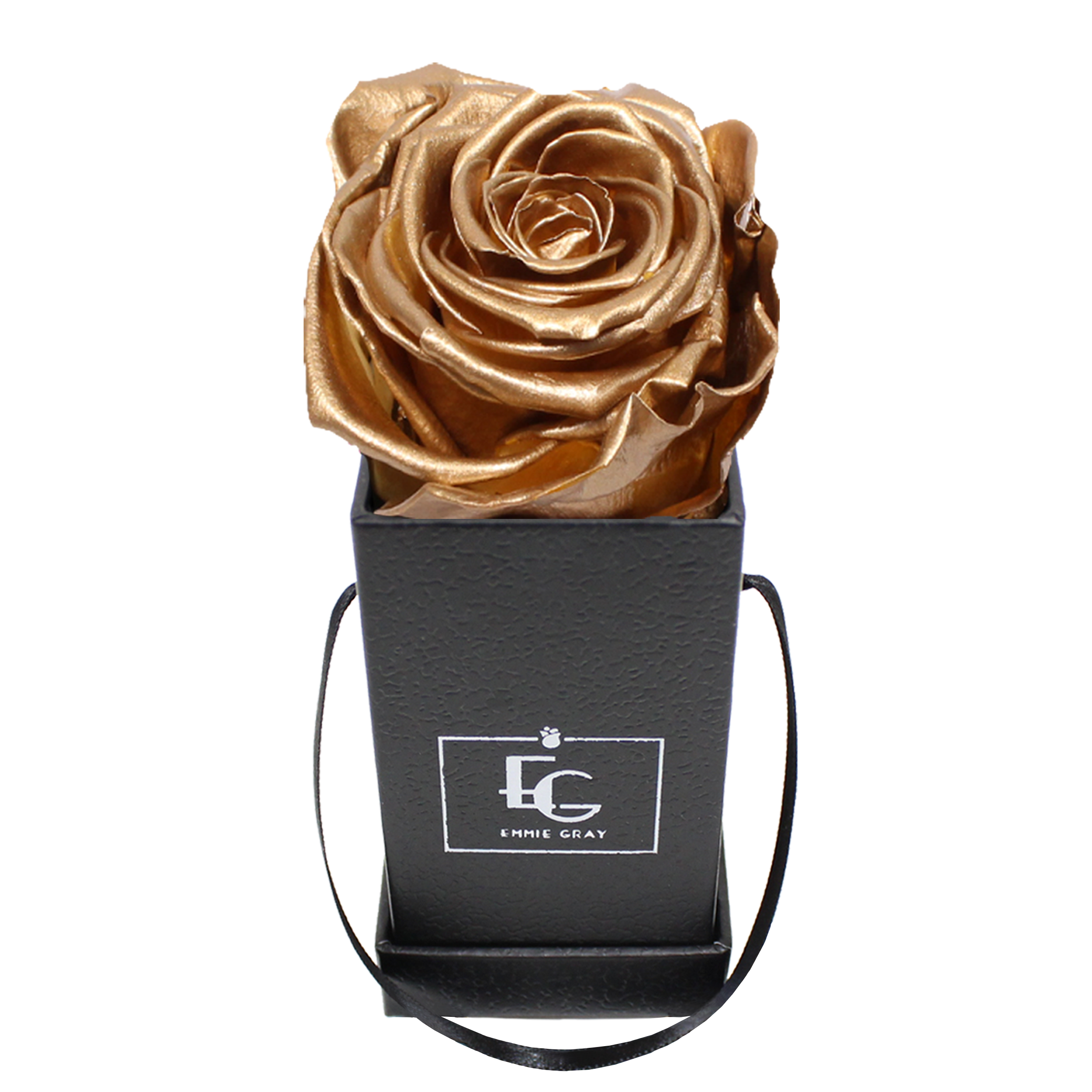 CLASSIC INFINITY ROSEBOX | GOLD | XXS