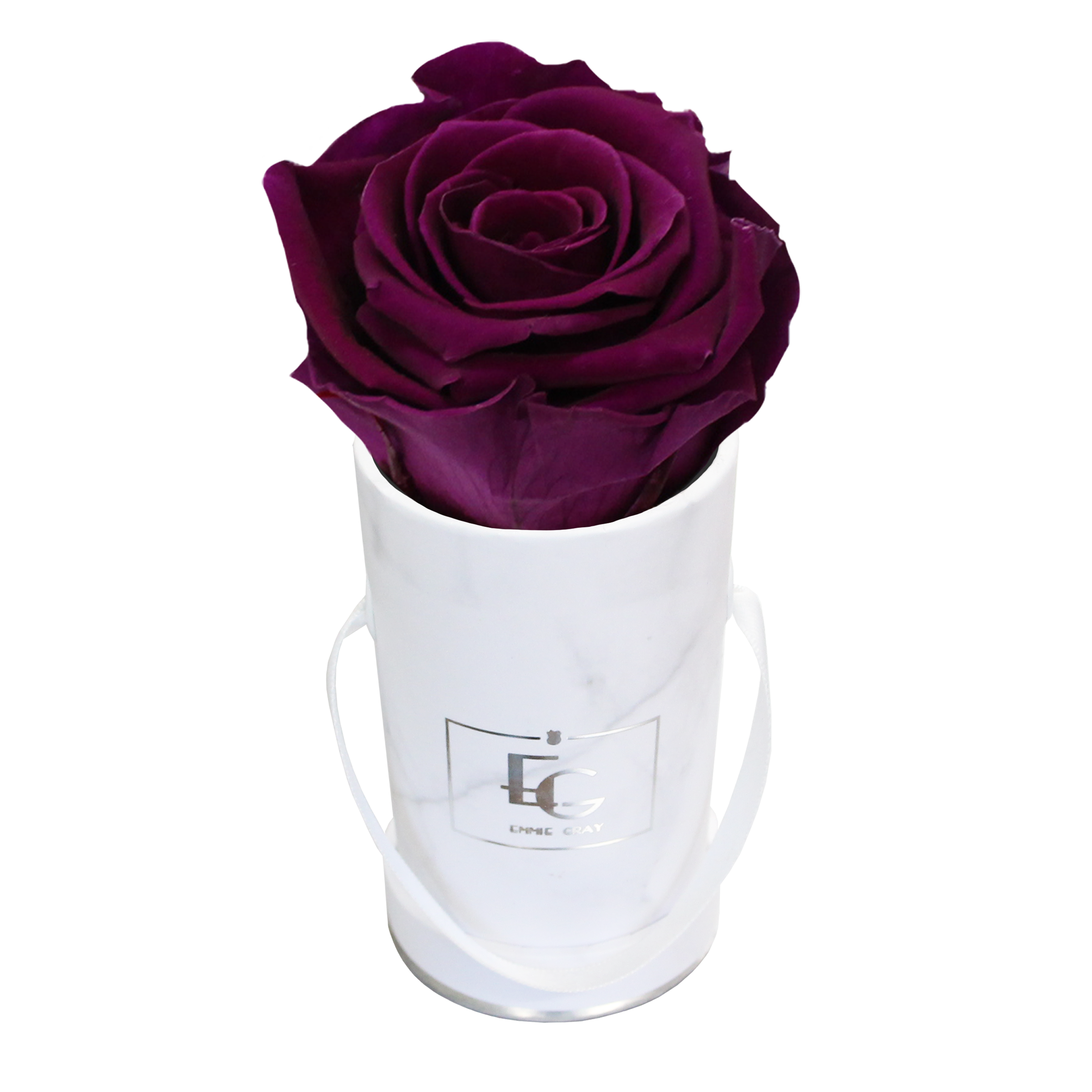 CLASSIC INFINITY ROSEBOX | VELVET PLUM | XXS