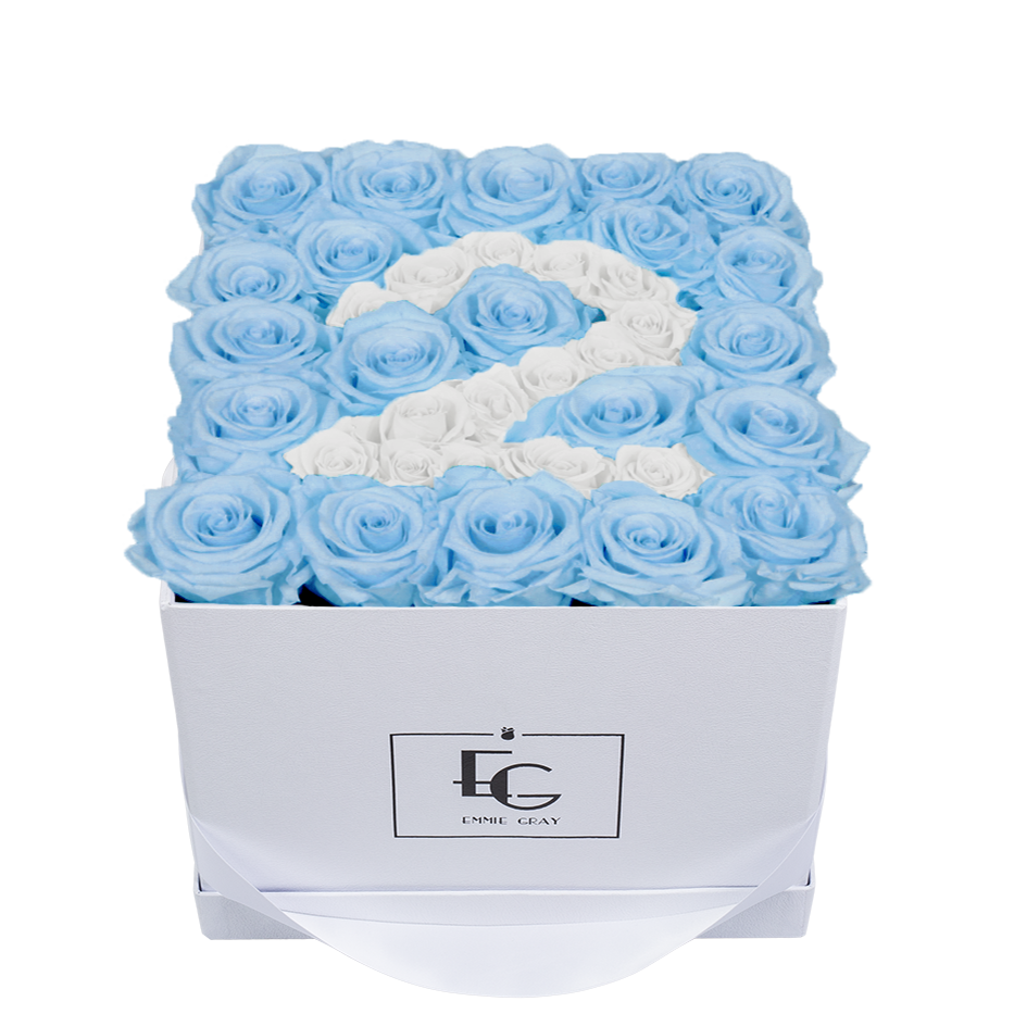 NUMBER INFINITY ROSEBOX | BABY BLUE & PURE WHITE | M