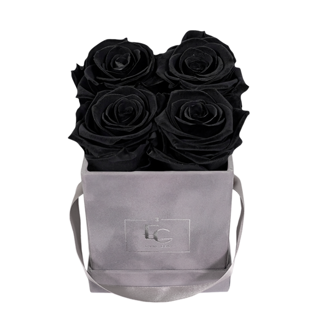 CLASSIC INFINITY ROSEBOX | BLACK BEAUTY | XS CLASSIC INFINITY ROSEBOX | BLACK BEAUTY | XS